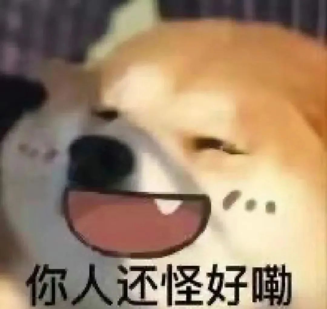 柴犬眯眼咧嘴笑，配文“你人还怪好嘞”的可爱有趣表情包 表情包：别给我狗叫表情包图片gif动图 - 求表情网,斗图从此不求人!