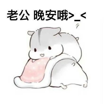 可爱仓鼠依偎着说“老公 晚安哦”,超甜的睡前问候 仓鼠表情包:向老公撒娇系列表情包图片gif动图 - 求表情网,斗图从此不求人!