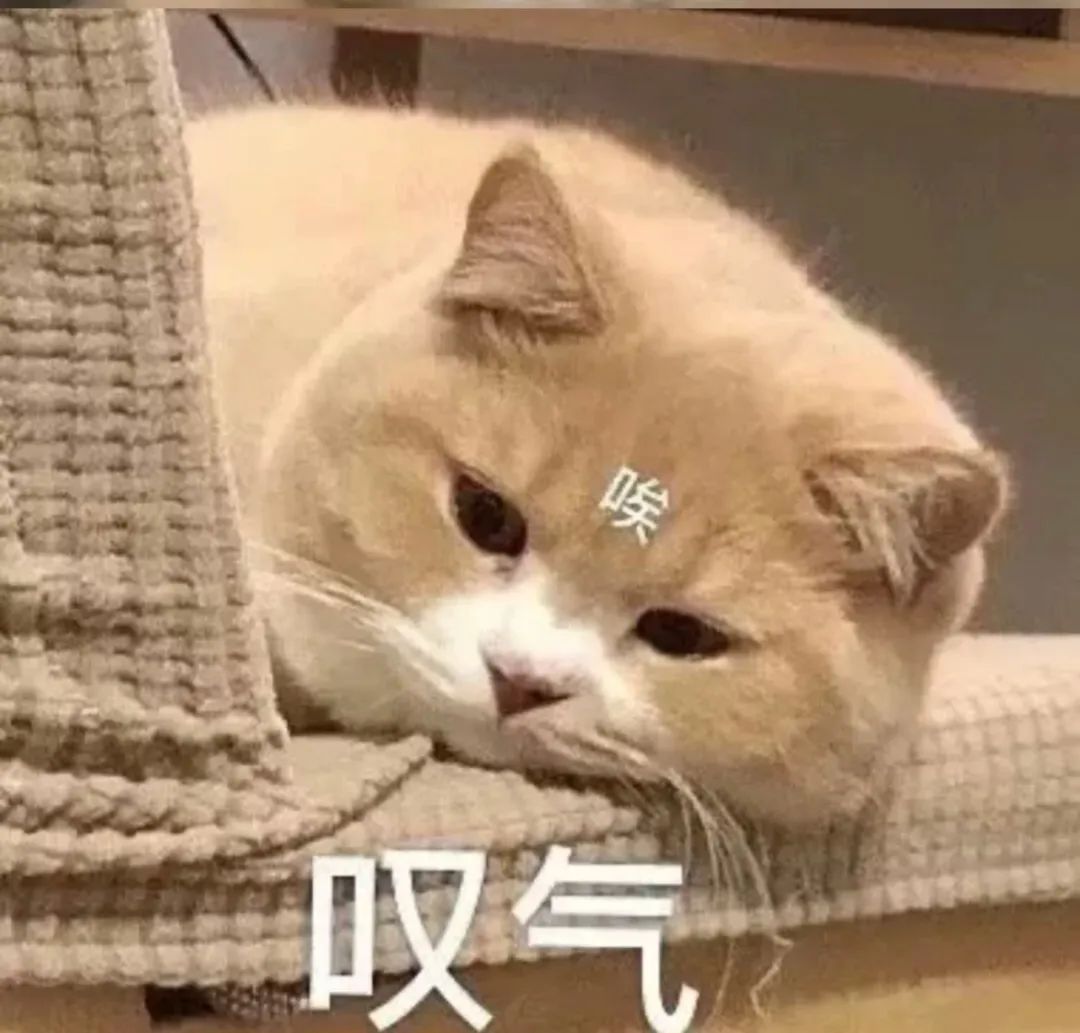可爱猫咪满脸无奈,配文“唉 叹气”,尽显无奈与惆怅 这么多沙雕表情包,让我看看谁没存?!表情包图片gif动图 - 求表情网,斗图从此不求人!