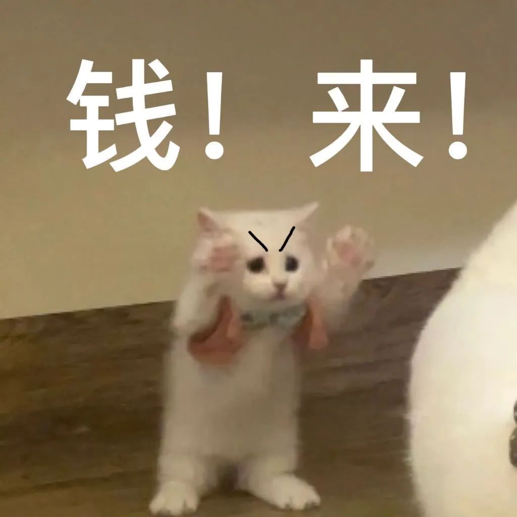 可爱小猫双手挥舞，配上“钱！来！”文字，萌态尽显超有趣 丰富一下可爱表情包₍ᐢ..ᐢ₎ᐝ表情包图片gif动图 - 求表情网,斗图从此不求人!