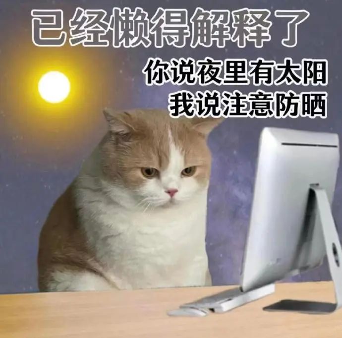 《已经懒得解释了》猫配文“你说夜里有太阳我说注意防晒” 猫猫怼人聊天表情包 | 有事直接发疯 表情包图片gif动图 - 求表情网,斗图从此不求人!