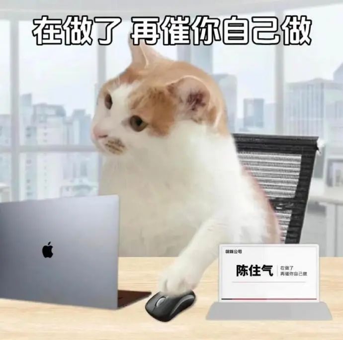 《在做了 再催你自己做》,猫咪坐在办公桌前的搞笑表情包 牛马表情包 打工人打工魂 猫咪表情包 表情包图片gif动图 - 求表情网,斗图从此不求人!