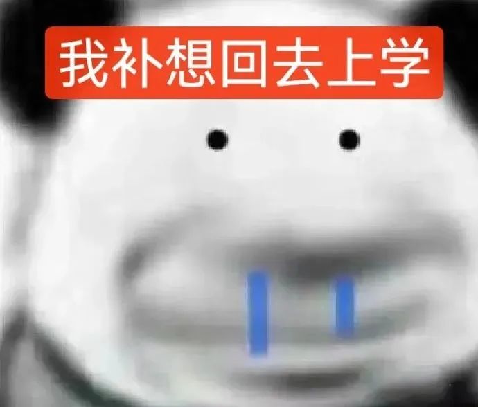 “我补想回去上学”,可爱萌物表情尽显抗拒上学的心情 不想上学不要开学表情包 表情包图片gif动图 - 求表情网,斗图从此不求人!