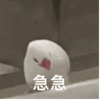 白色团子一脸急切,“急急”二字尽显其焦急心情 拿去骚扰朋友的动态表情包gif表情包图片gif动图 - 求表情网,斗图从此不求人!