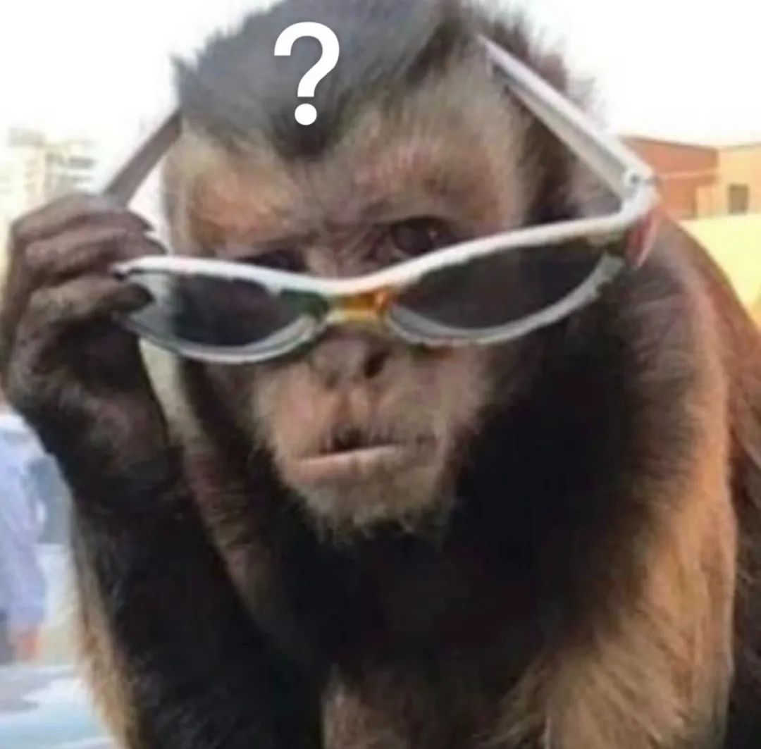 猴子戴着眼镜一脸疑惑,这表情太逗了 快来领取限定表情包!表情包图片gif动图 - 求表情网,斗图从此不求人!