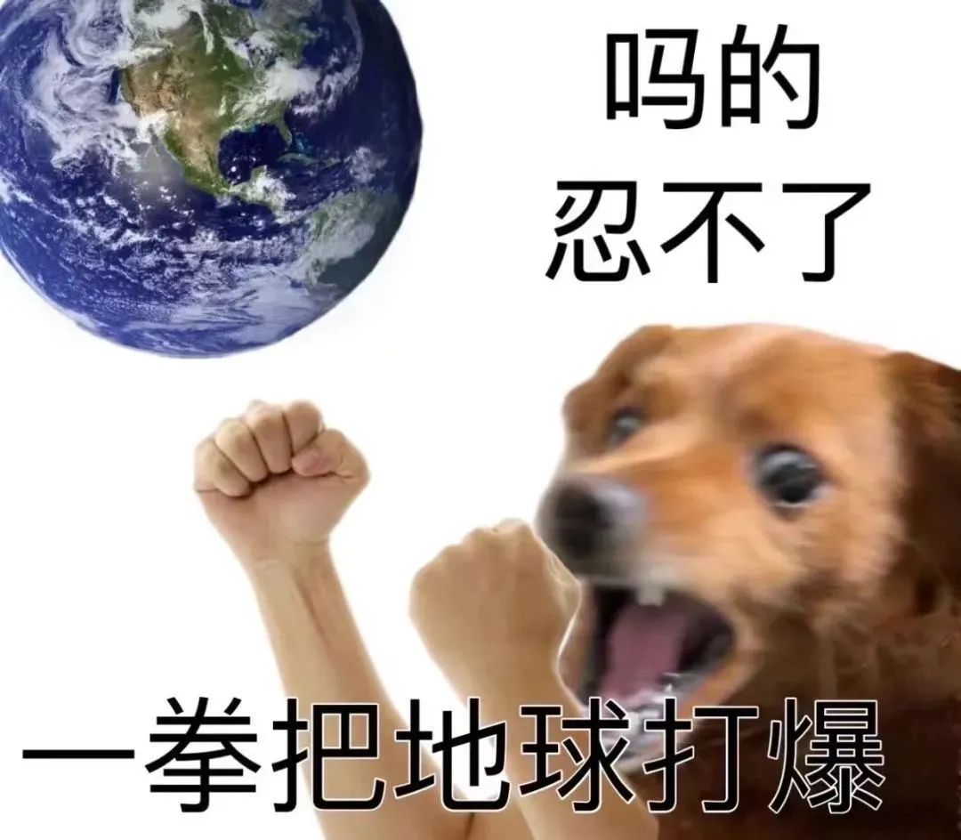 《愤怒狗狗配文“吗的 忍不了 一拳把地球打爆”的搞笑表情包》 发疯精神状态表情包表情包图片gif动图 - 求表情网,斗图从此不求人!
