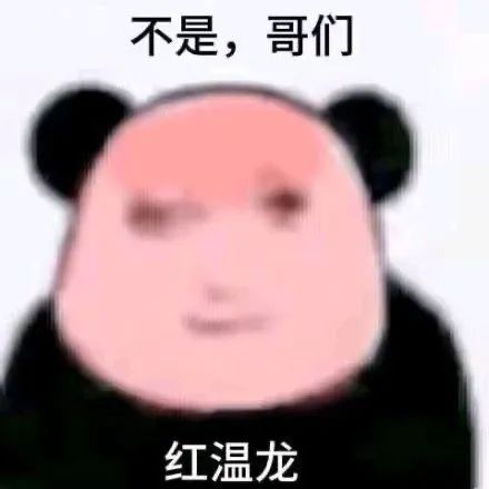 《不是,哥们》表情包,熊猫头红温龙形象,十分有趣 抽象龙图表情包表情包图片gif动图 - 求表情网,斗图从此不求人!