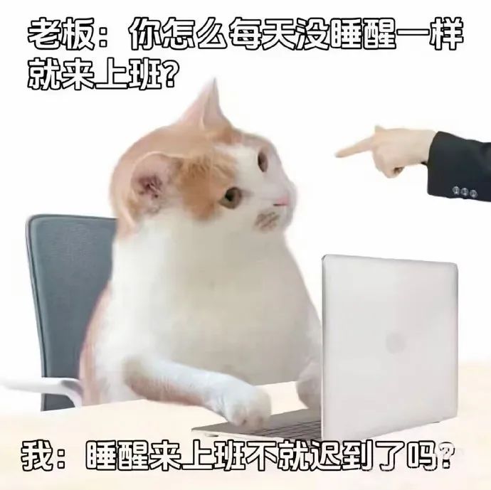 《老板:你怎么每天没睡醒就上班?我:睡醒上班就迟到了呀》 互联网嘴替表情包来啦 表情包图片gif动图 - 求表情网,斗图从此不求人!