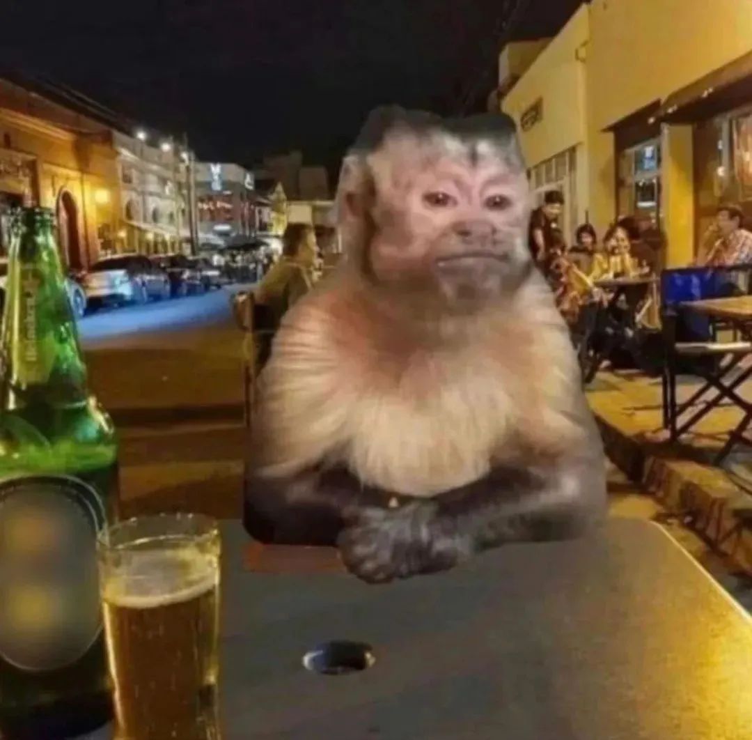 猴子坐在街边酒吧桌前,表情严肃,氛围独特的搞笑表情包 沙雕斗图的表情包!表情包图片gif动图 - 求表情网,斗图从此不求人!