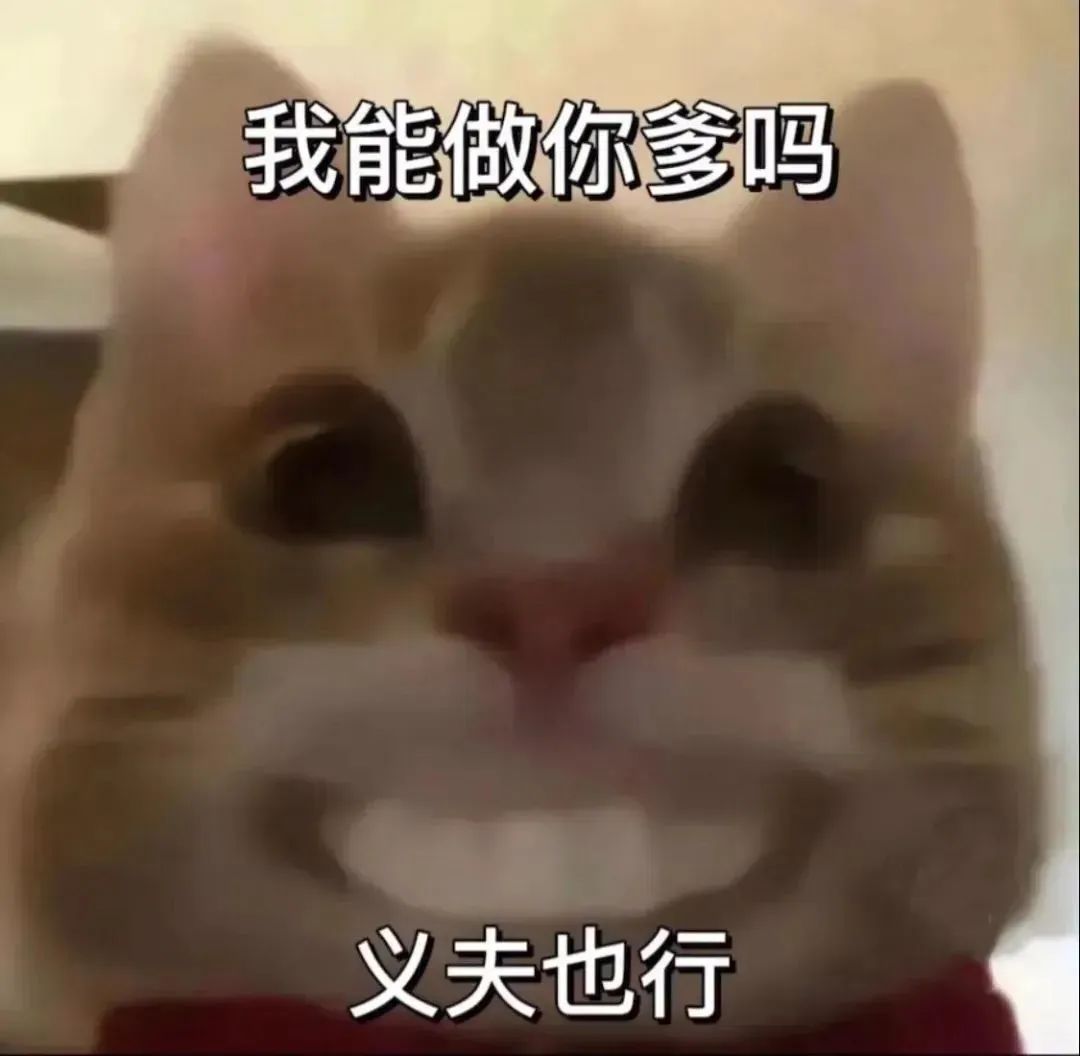 可爱猫咪表情包：“我能做你爹吗 义夫也行”超搞笑 表情包｜狂屌酷炫情侣互怼表情包表情包图片gif动图 - 求表情网,斗图从此不求人!
