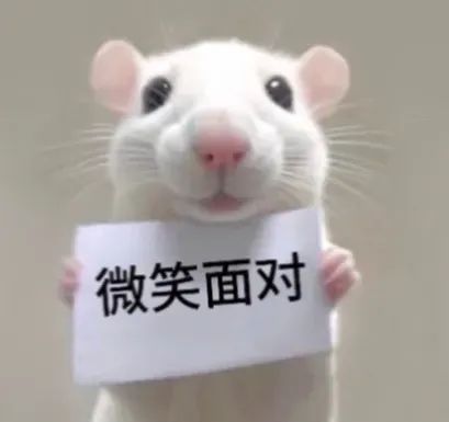 可爱小白鼠举牌“微笑面对”,超治愈的正能量表情包 举牌老鼠表情包表情包图片gif动图 - 求表情网,斗图从此不求人!