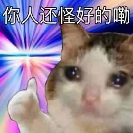 可爱猫咪配绚丽特效，竖起大拇指说“你人还怪好的嘞” 表情包｜表情包情侣互撩一整套表情包图片gif动图 - 求表情网,斗图从此不求人!