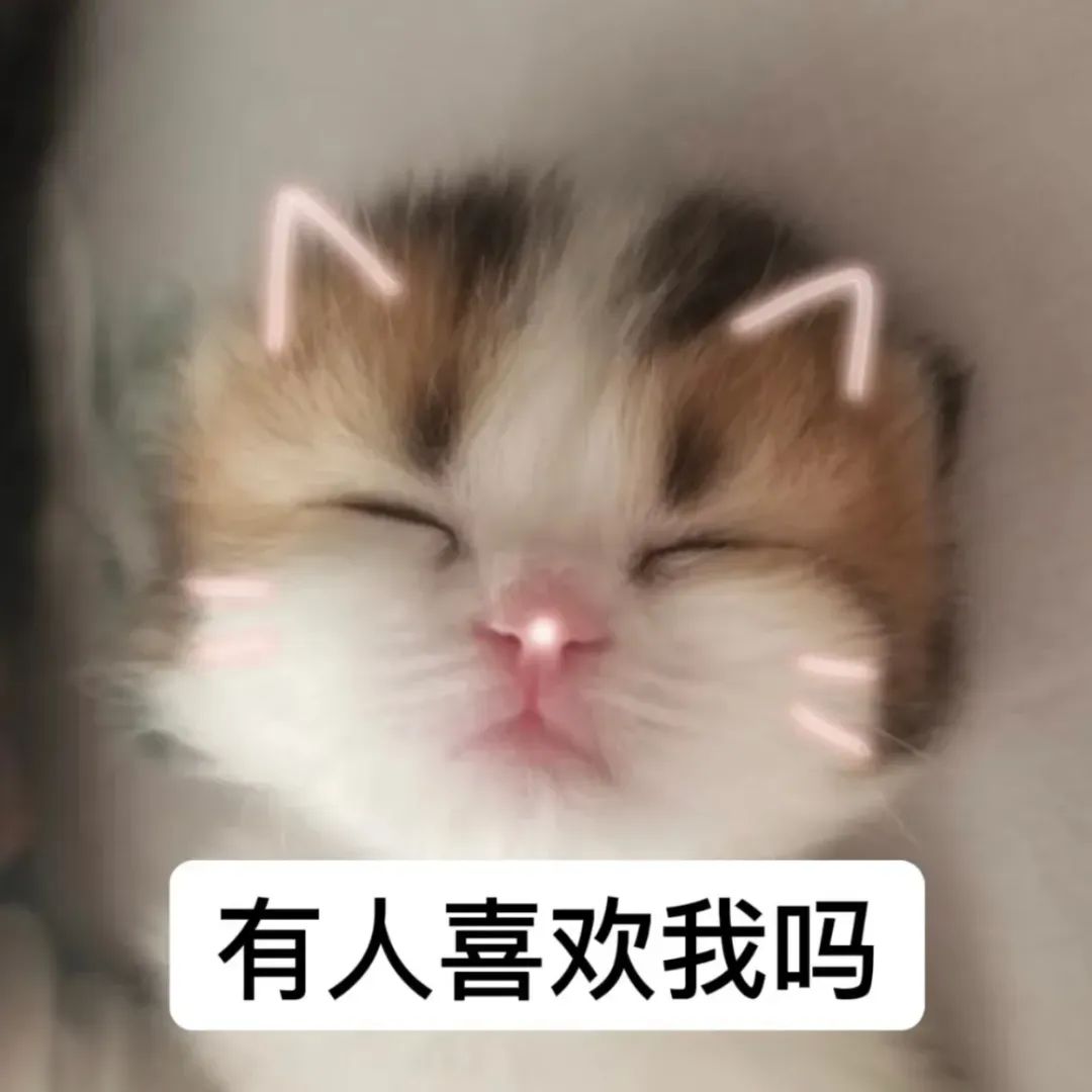 可爱小猫闭眼卖萌,配文“有人喜欢我吗”的撒娇表情包 超火的小奶猫萌贱表情包!表情包图片gif动图 - 求表情网,斗图从此不求人!