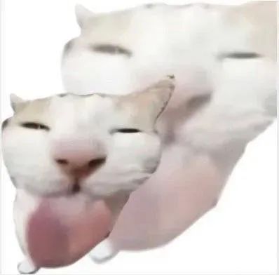 可爱猫咪吐舌卖萌,表情滑稽超有趣的动态表情包 吐舌头的白猫表情包 | 猫咪表情包表情包图片gif动图 - 求表情网,斗图从此不求人!