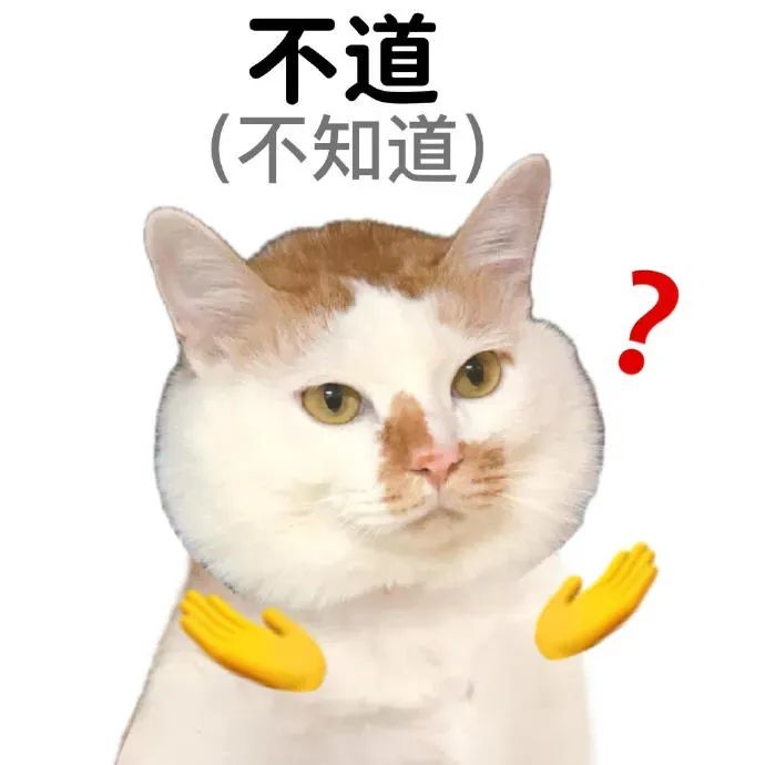 猫咪摊手配文“不知道”,加上问号,尽显呆萌疑惑 连读表情包 | 中国人有自己的连读技巧表情包图片gif动图 - 求表情网,斗图从此不求人!