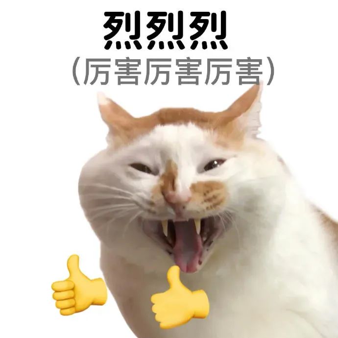 “烈烈烈(厉害厉害厉害)”的猫咪,表情夸张超有趣 连读表情包 | 中国人有自己的连读技巧表情包图片gif动图 - 求表情网,斗图从此不求人!