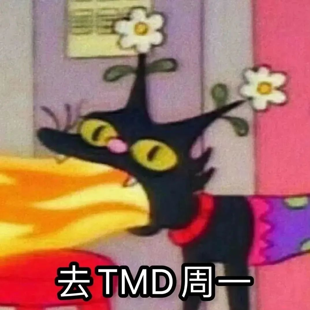 可爱黑猫带花怒吐火焰,配文“去TMD周一”宣泄对周一的不满 表情包|表情包互撩情侣一整套表情包图片gif动图 - 求表情网,斗图从此不求人!