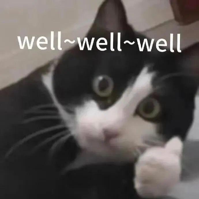 黑白猫咪一脸惊讶,配文“well~well~well”超有趣 表情包丨跟我的喵喵拳说去吧表情包图片gif动图 - 求表情网,斗图从此不求人!