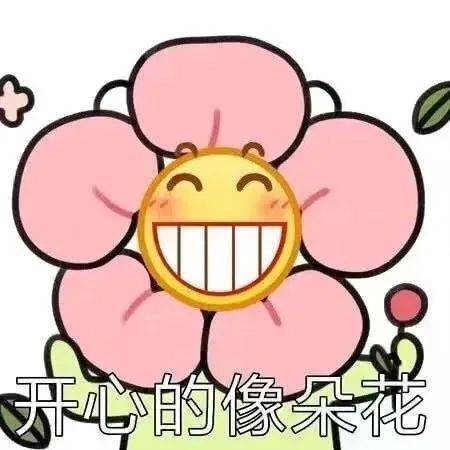 《开心的像朵花》,可爱花朵脸表情包传递快乐心情 表情包|表情包情侣搞怪聊天专用表情包图片gif动图 - 求表情网,斗图从此不求人!
