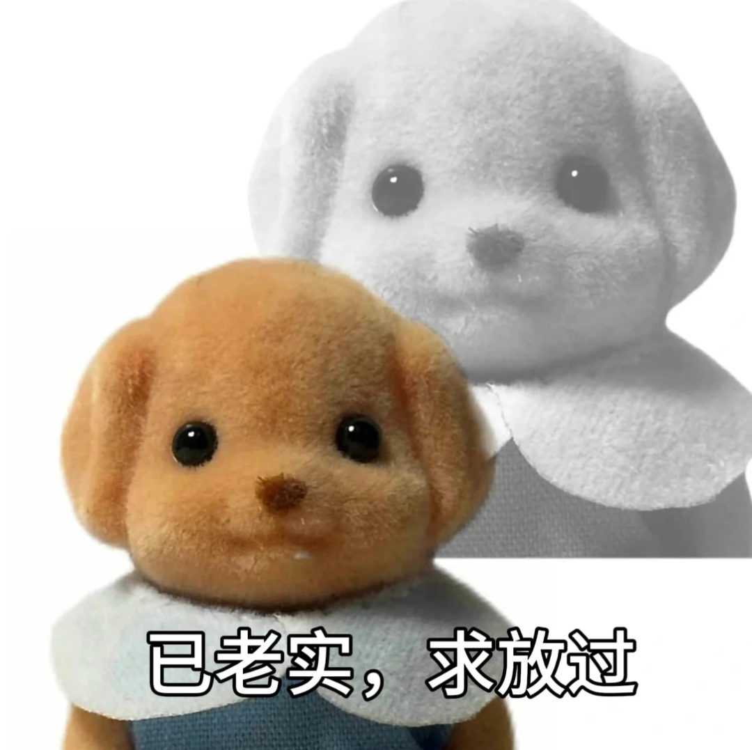 可爱毛绒小狗表情乖巧,配文“已老实,求放过”萌态十足 森贝儿表情包|那又怎样 打洗我表情包图片gif动图 - 求表情网,斗图从此不求人!