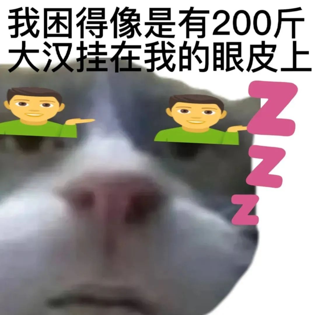 《困成狗!我困得像有200斤大汉挂在眼皮上,zzz》 表情包|表情包情侣互撩一整套表情包图片gif动图 - 求表情网,斗图从此不求人!