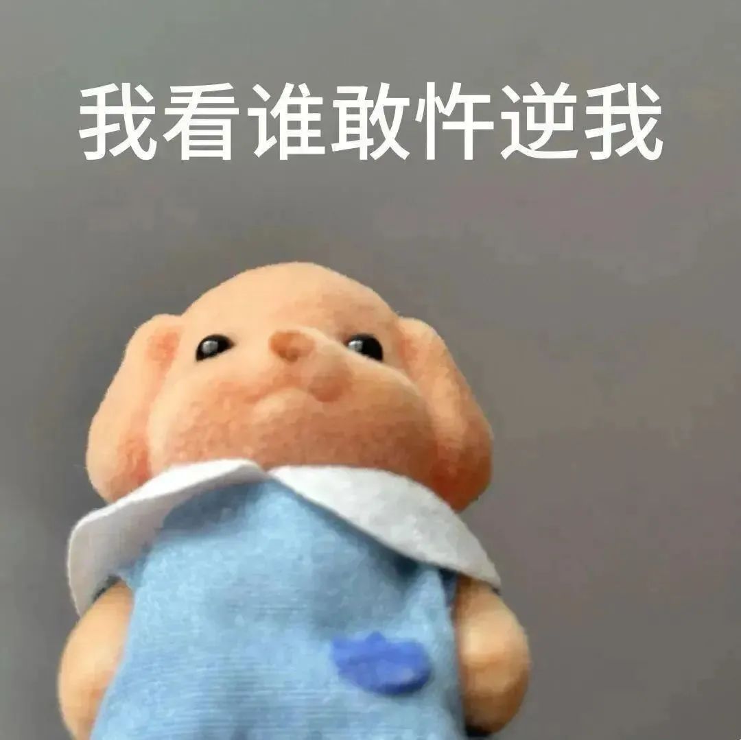 可爱玩偶小熊一脸霸气,配文“我看谁敢忤逆我”超有气势 斗图常用表情包表情包图片gif动图 - 求表情网,斗图从此不求人!