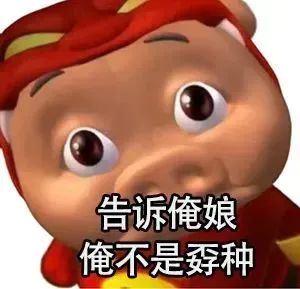 《猪猪侠委屈脸:告诉俺娘俺不是孬种》 情侣互撩表情包|嘘! 别骚用心爱我表情包图片gif动图 - 求表情网,斗图从此不求人!