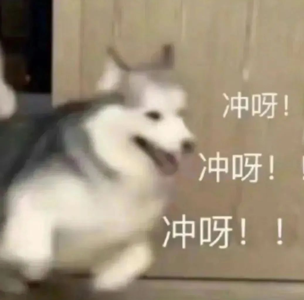 哈士奇兴奋奔跑，配文“冲呀！冲呀！冲呀！”的可爱动态表情包 奇怪的表情包增加了表情包图片gif动图 - 求表情网,斗图从此不求人!