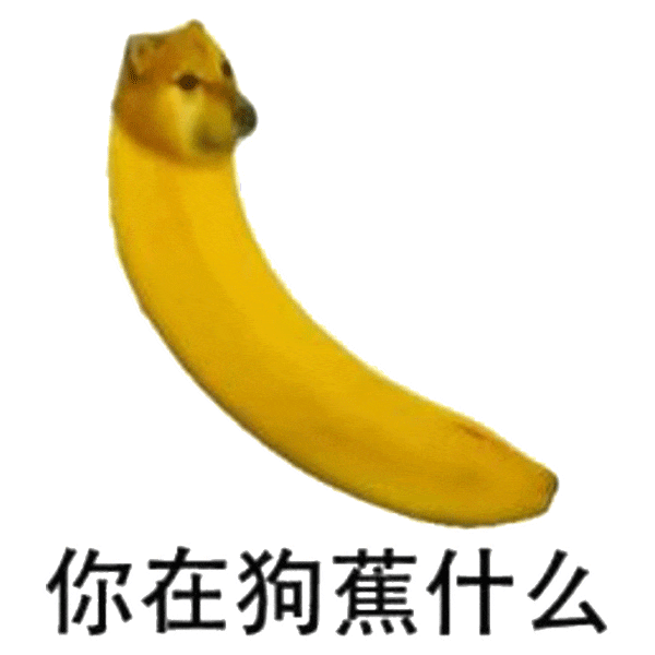 《奇葩香蕉头》：一个长着狗脸的香蕉，配文“你在狗蕉什么” 表情包：我让你说话了吗表情包图片动图 求表情网斗图从此不求人 