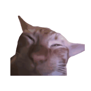 可爱猫咪闭眼晃头，表情陶醉，萌态十足超治愈 超全猫meme表情包 | 大司马笑表情包表情包图片gif动图 - 求表情网,斗图从此不求人!
