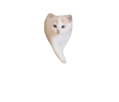 可爱猫咪的萌态动图,看一眼就被它的可爱击中 超全猫meme表情包 | 大司马笑表情包表情包图片gif动图 - 求表情网,斗图从此不求人!