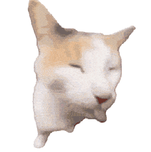 可爱猫咪眯着眼吐舌,表情滑稽超搞笑的动态表情包 超全猫meme表情包 | 大司马笑表情包表情包图片gif动图 - 求表情网,斗图从此不求人!