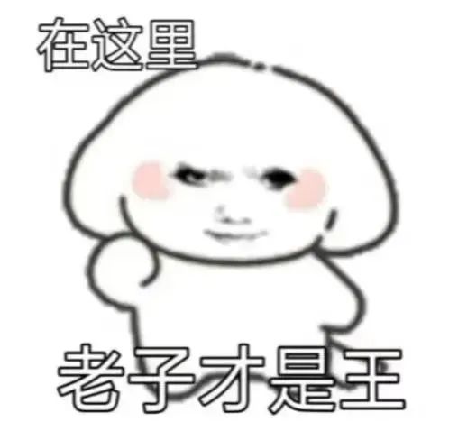 可爱卡通形象霸气宣言“在这里老子才是王” 快让我嘬嘬嘬变态表情包表情包图片gif动图 - 求表情网,斗图从此不求人!