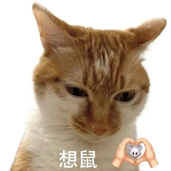 橘猫表情严肃,旁边有爱心手势和老鼠,配文“想鼠”超有趣 表情包:拿来吧你!(18张)表情包图片gif动图 - 求表情网,斗图从此不求人!