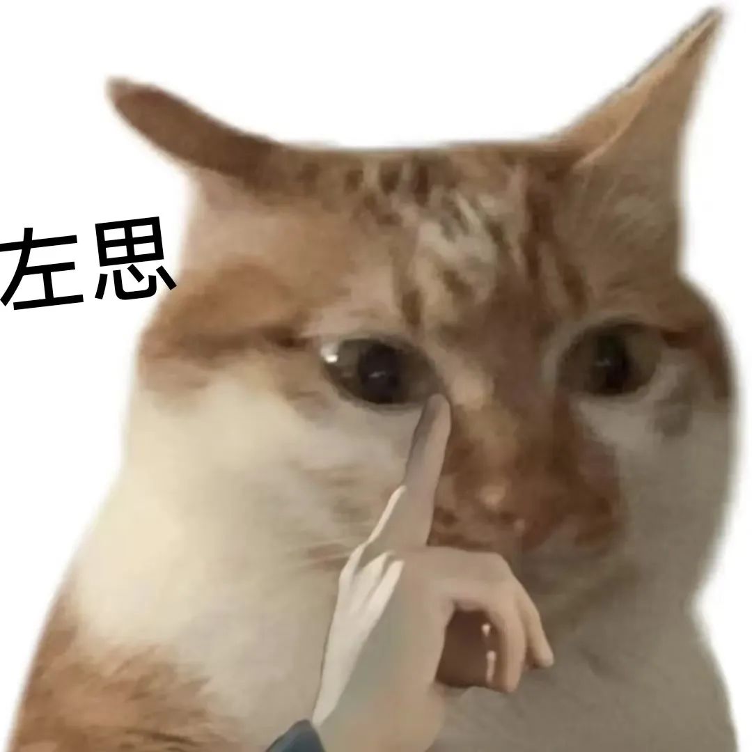 可爱猫咪被手指指着,表情呆萌,旁边配文“左思”,趣味十足 好用表情包(一点空气都不给泥)表情包图片gif动图 - 求表情网,斗图从此不求人!