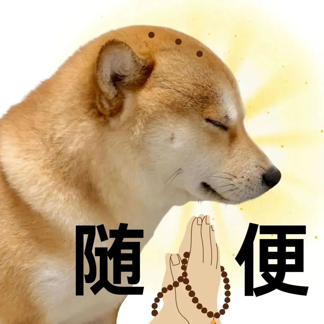 可爱柴犬闭眼似在佛系祈祷,配文“随便”尽显随意态度 表情包:感情淡了表情包图片gif动图 - 求表情网,斗图从此不求人!