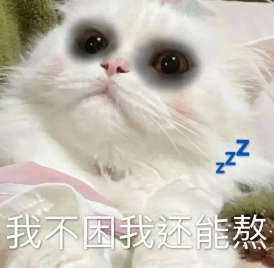 困到不行的猫咪强撑着说“我不困我还能熬”,可爱又搞笑 表情包集合表情包图片gif动图 - 求表情网,斗图从此不求人!