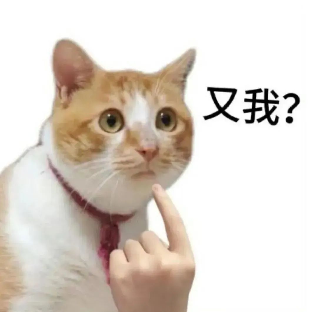 可爱猫咪被手指着,一脸惊讶配文“又我?”的有趣表情包 骚扰朋友的变态表情包表情包图片gif动图 - 求表情网,斗图从此不求人!