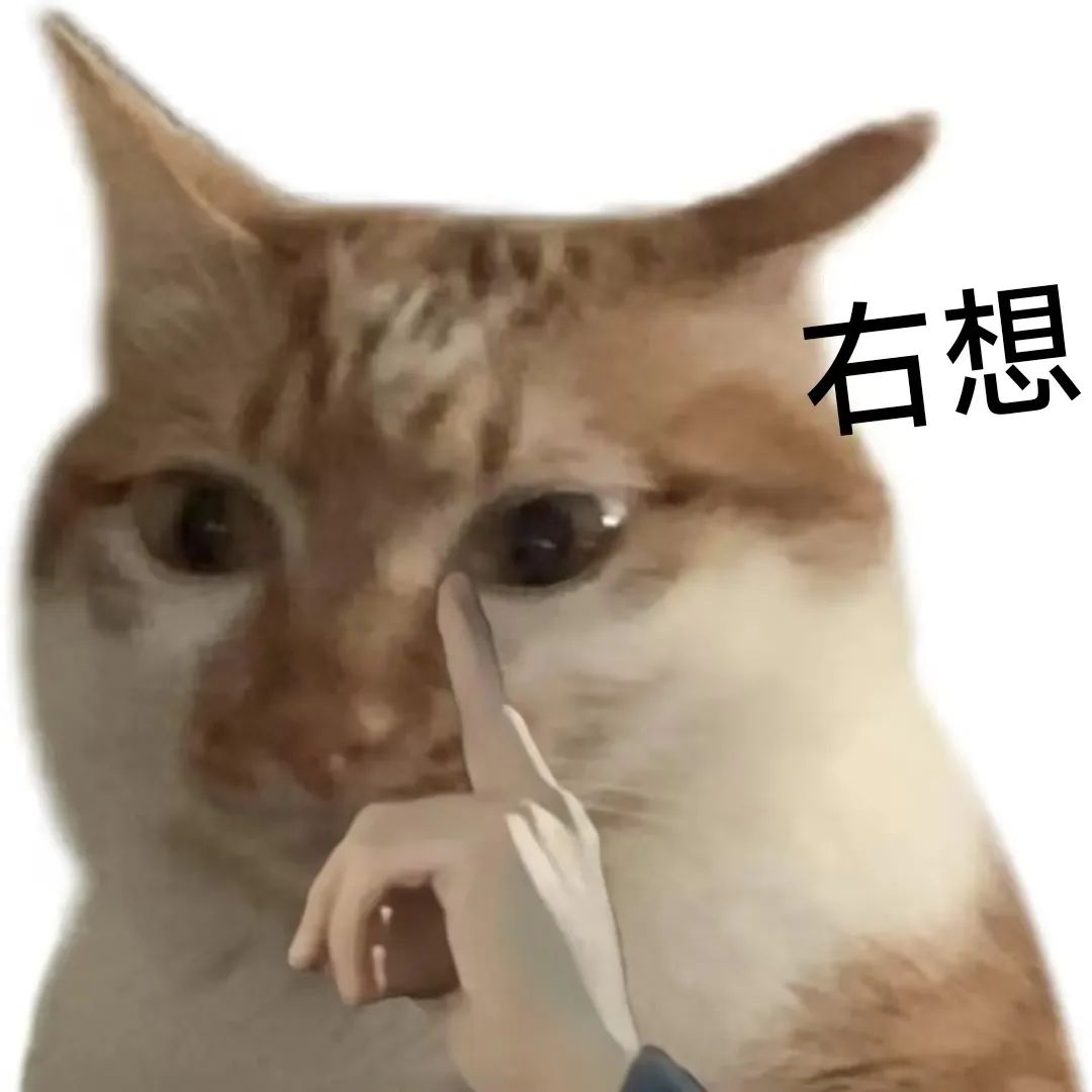 可爱猫咪被手指着眼睛，配文“右想”，尽显呆萌疑惑 好用表情包（一点空气都不给泥）表情包图片gif动图 - 求表情网,斗图从此不求人!