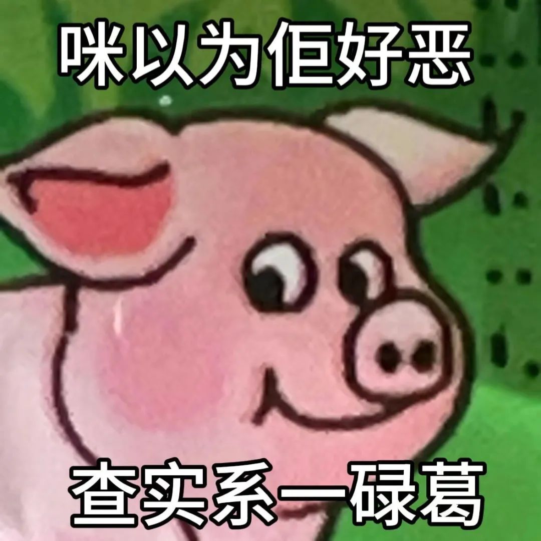 可爱小猪表情包，配文“咪以为恆好恶 查实系一碌葛”超有趣 表情包丨 猪生是旷野表情包图片gif动图 - 求表情网,斗图从此不求人!