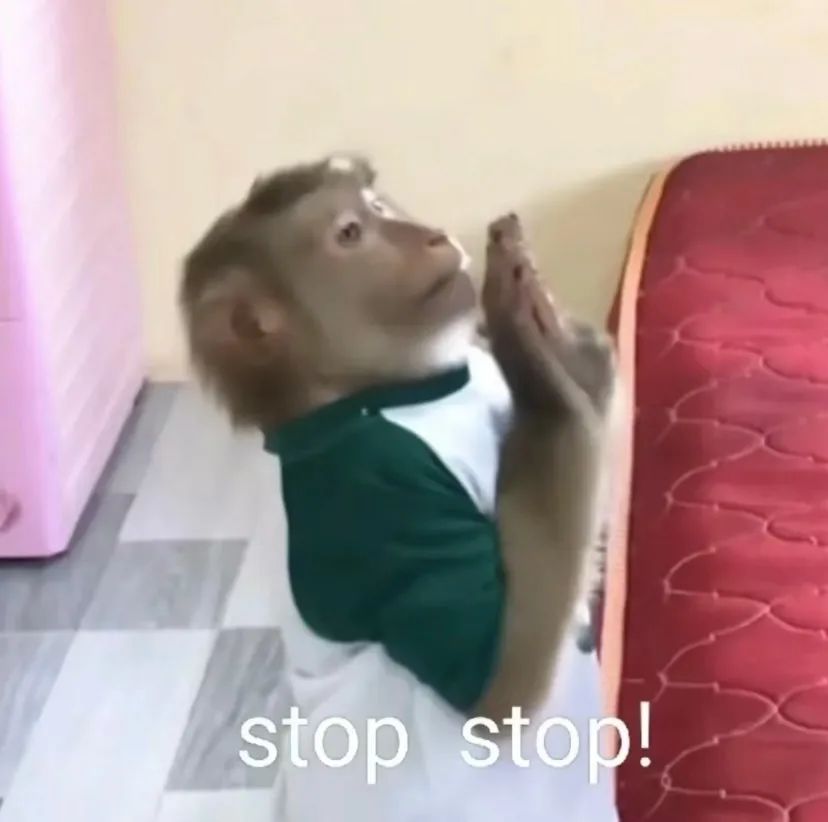 穿着衣服的猴子双手合十,配文“stop stop!”的搞笑表情包 可爱沙雕表情包表情包图片gif动图 - 求表情网,斗图从此不求人!
