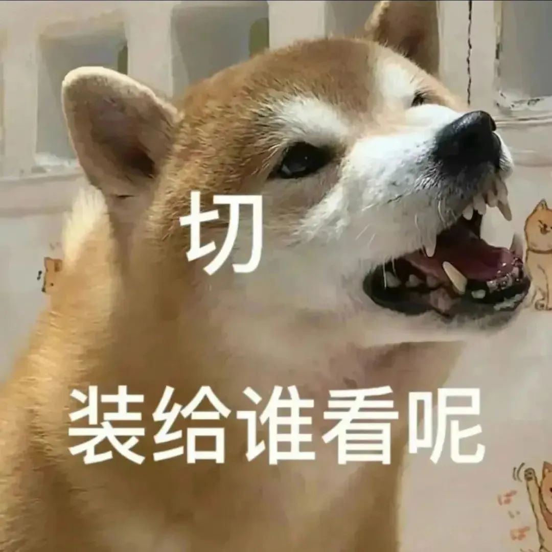 柴犬龇牙咧嘴表情凶狠，配文“切 装给谁看呢”超有态度 一些很难不爱的表情包表情包图片gif动图 - 求表情网,斗图从此不求人!