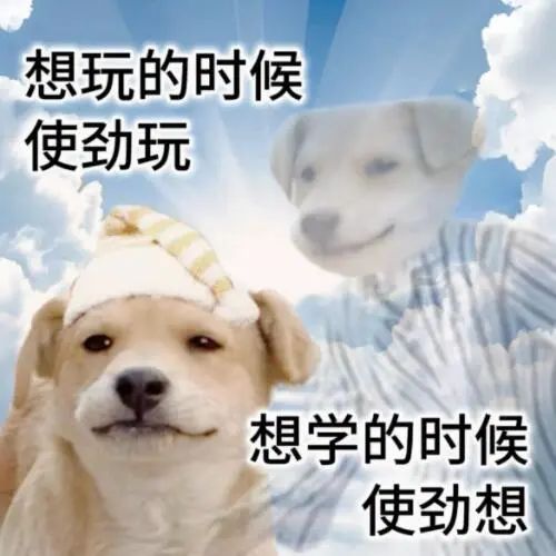 《想玩的时候使劲玩,想学的时候使劲想》可爱狗狗表情包 狗狗表情包 | 学会儿吧宝 别真挂了表情包图片gif动图 - 求表情网,斗图从此不求人!