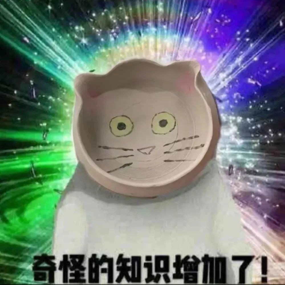 “画着猫脸的盘子配文‘奇怪的知识增加了’，超有趣的表情包” 又是被撩人表情包击中心脏的一天！表情包图片gif动图 - 求表情网,斗图从此不求人!