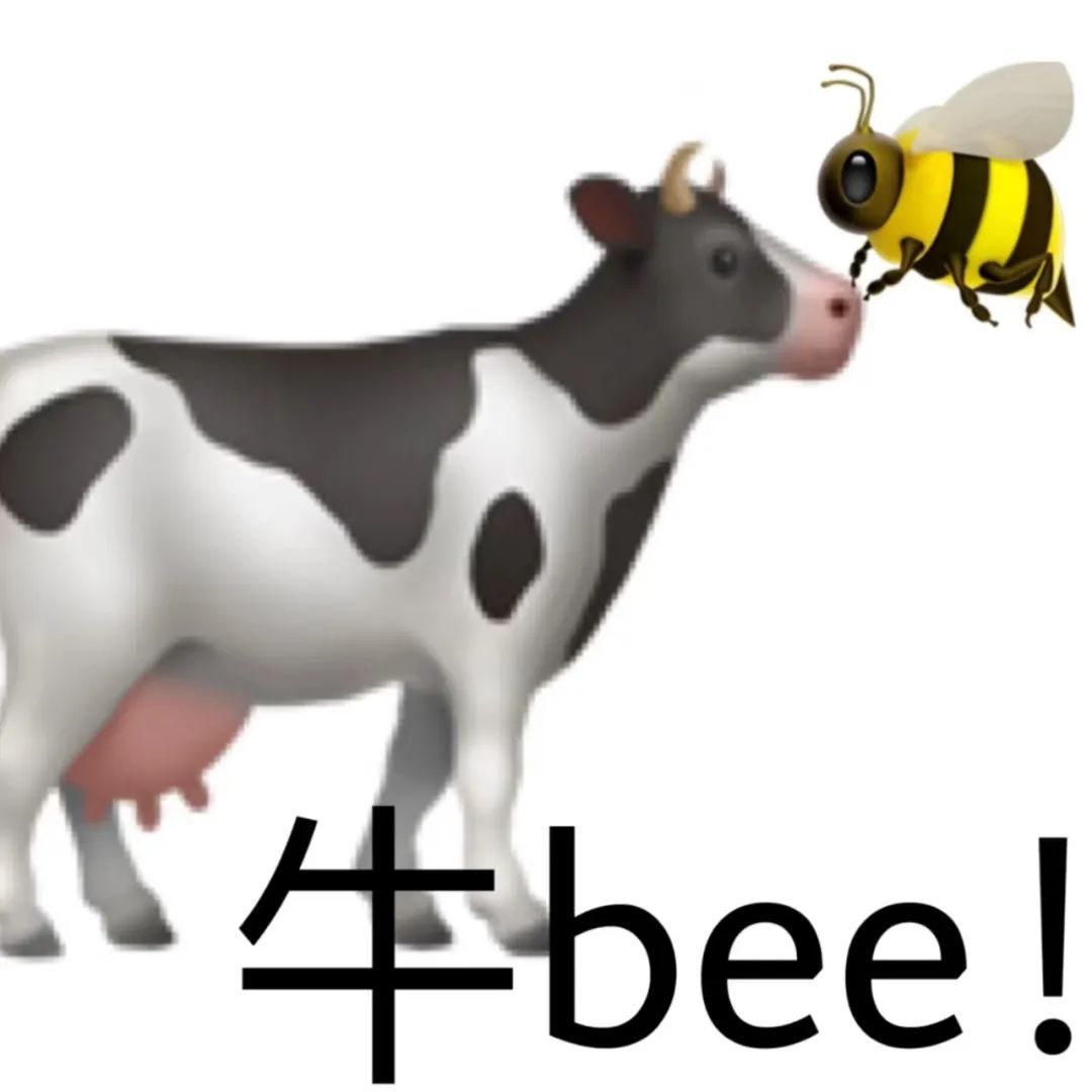 《牛bee!》:蜜蜂靠近奶牛的有趣画面,谐音梗带来欢乐 谐音梗表情包合集表情包图片gif动图 - 求表情网,斗图从此不求人!