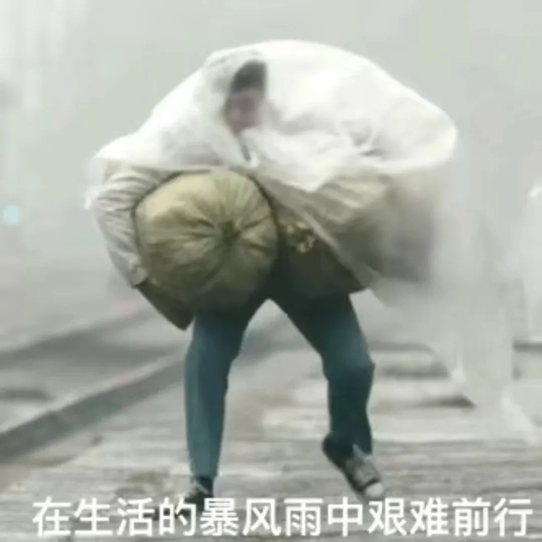 “在生活的暴风雨中艰难前行”,这张图尽显生活的不易与坚持 下雨表情包 | 雨像杉菜离开道明寺那天一样大表情包图片gif动图 - 求表情网,斗图 ...