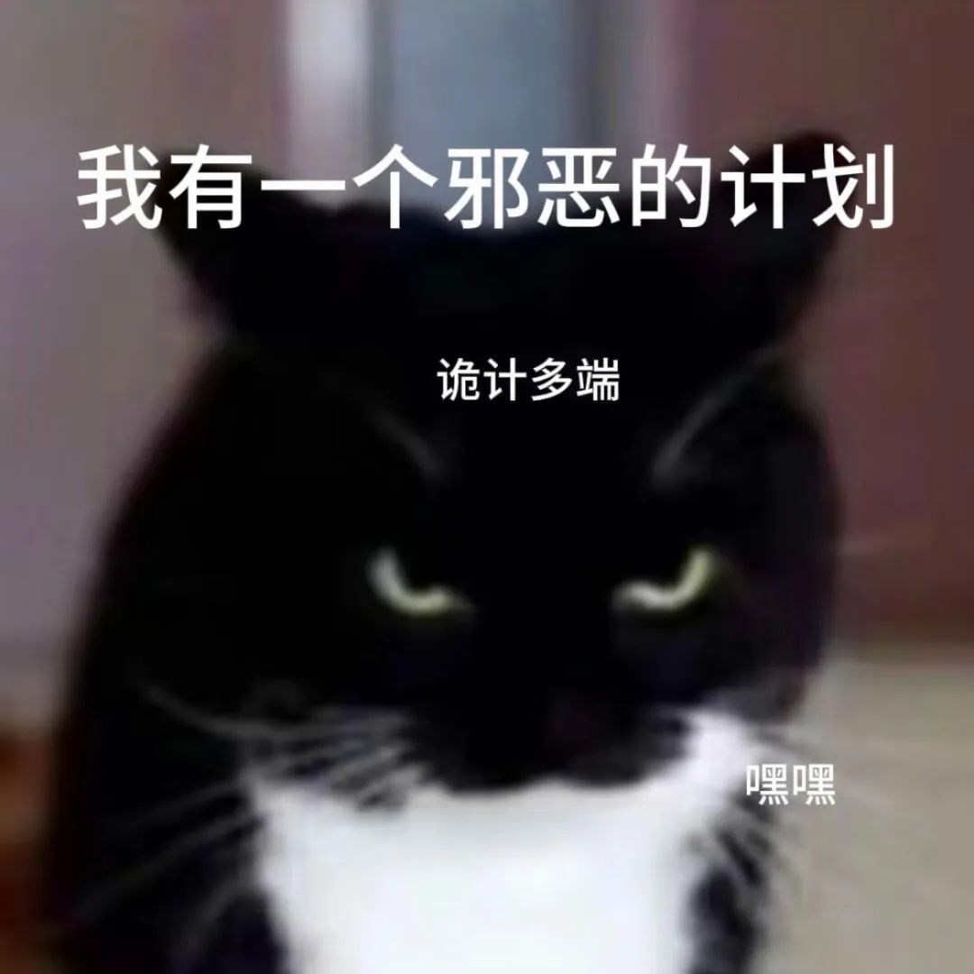 《猫咪表情狡黠,配文“我有一个邪恶的计划 诡计多端 嘿嘿”》 表情包:到底是谁在做局阴我表情包图片gif动图 - 求表情网,斗图从此不求人!