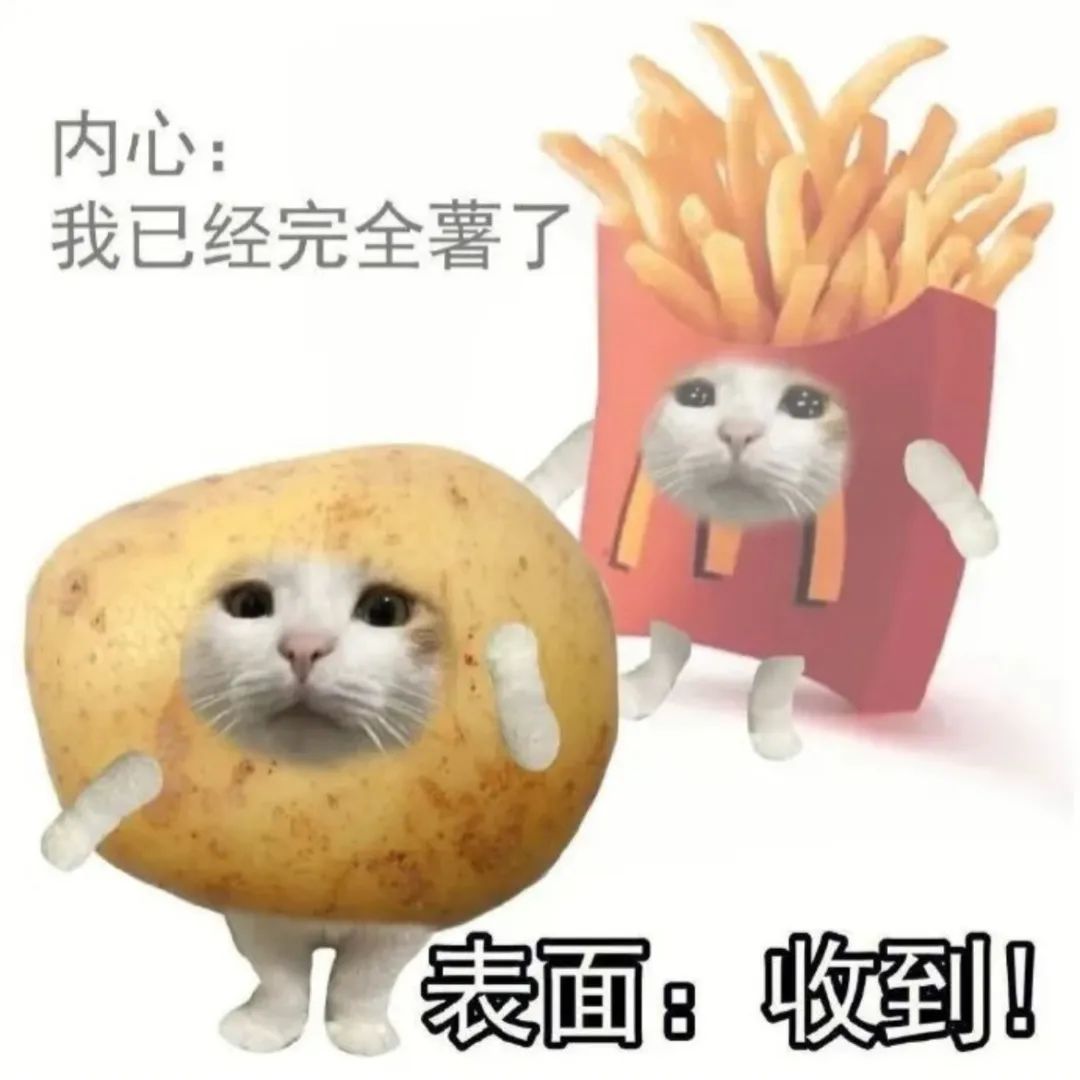 内心“我已经完全薯了”，表面却回复“收到”的可爱猫咪表情包 表情包：资本你赢了表情包图片gif动图 - 求表情网,斗图从此不求人!
