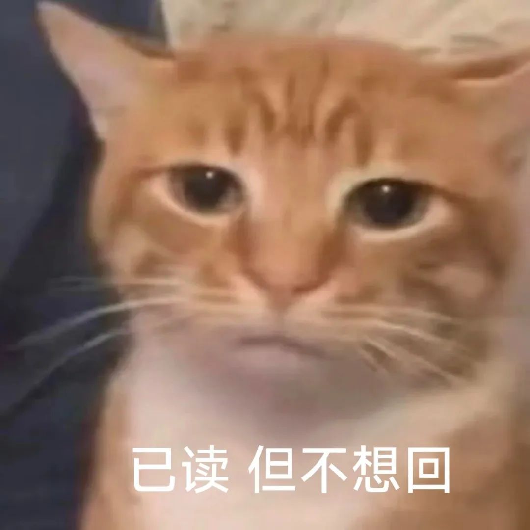 橘猫一脸冷漠,配文“已读 但不想回”,完美诠释不想回应的心情 表情包丨别以为我漂亮就没脾气表情包图片gif动图 - 求表情网,斗图从此不求人!
