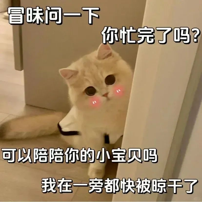 《冒昧问一下你忙完了吗?可爱猫咪求陪伴要被晾干啦》 情侣都在用的表情包表情包图片gif动图 - 求表情网,斗图从此不求人!